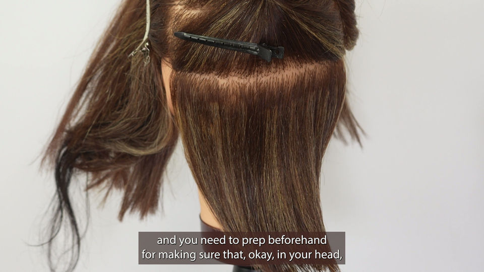 Keratin Bonds- Section Shape and Size